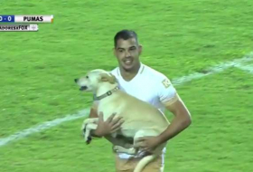 Copa Libertadores: un chien s`invite sur le terrain et fait un câlin aux joueurs - VIDÉO