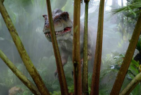 Découverte en Afrique d'empreintes d'un nouveau dinosaure géant