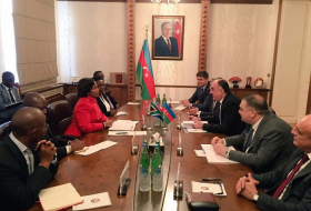 Le MAE azerbaïdjanais rencontre le ministre sud-africaine