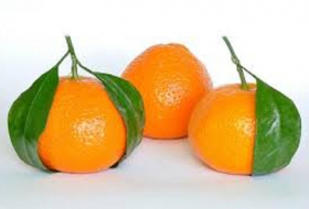 Les tomates et les mandarines de Turquie privées de marché russe
