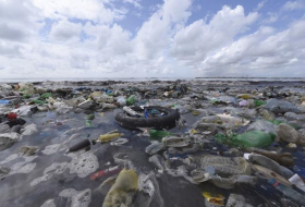 Plus de plastique que de poissons dans l’océan en 2050