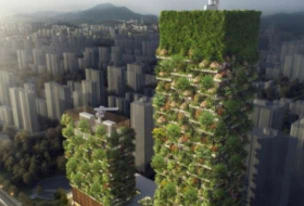 Chine : des tours végétales pour lutter contre la pollution