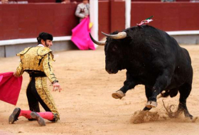 Espagne : interdiction de tuer le taureau dans une fête traditionnelle - PHOTOS/VIDÉO