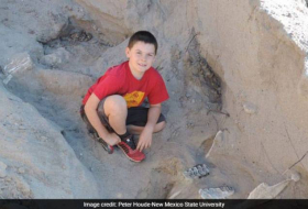 A 9 ans, il découvre un fossile de Stegomastodon vieux d'un million d'années