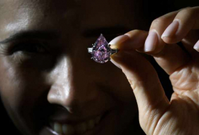 États-Unis: un ado trouve par hasard un diamant de 7 carats