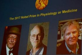 Le prix Nobel de médecine récompense les recherches sur l'horloge biologique