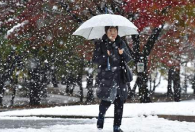 Il n`avait plus neigé à Tokyo en novembre depuis 54 ans