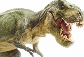 Le T-Rex était un grand sensible, en réalité