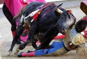 Un taureau encorne le visage d'un torero à Madrid