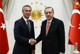 Erdogan et Stoltenberg discutent des derniers développements en Syrie
