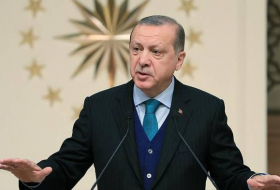 Erdogan : Israël est un Etat d’occupation et de terrorisme
